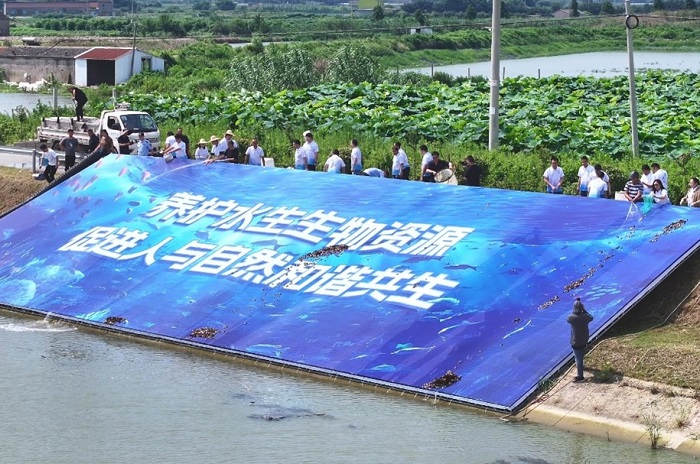 1689750351442349.jpg 图片4.jpg